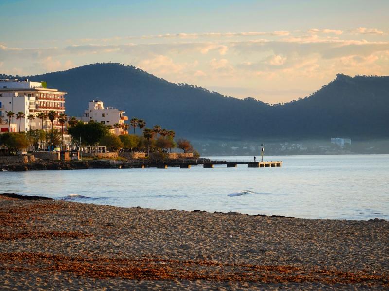 Mallorca mit Hund: Reisetipps und hundefreundliche Fincas