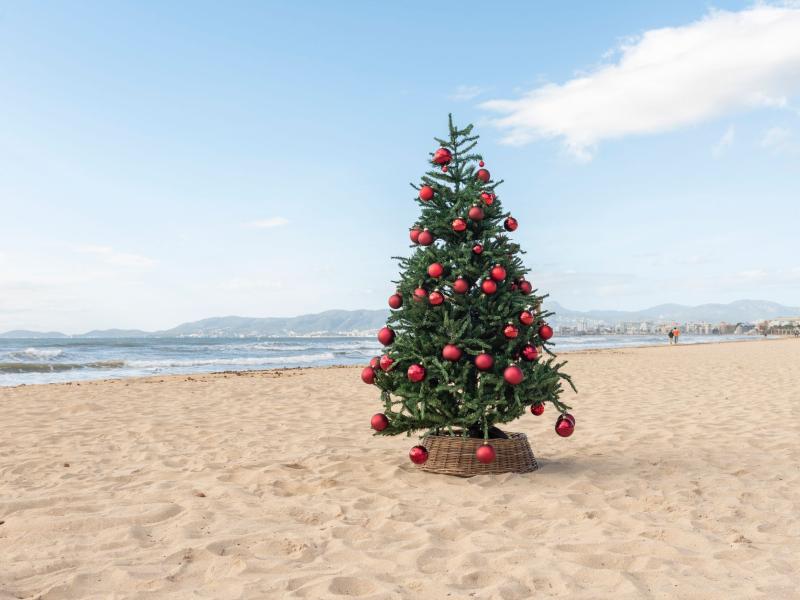 Weihnachten auf Mallorca: Traditionen, Märkte und Events