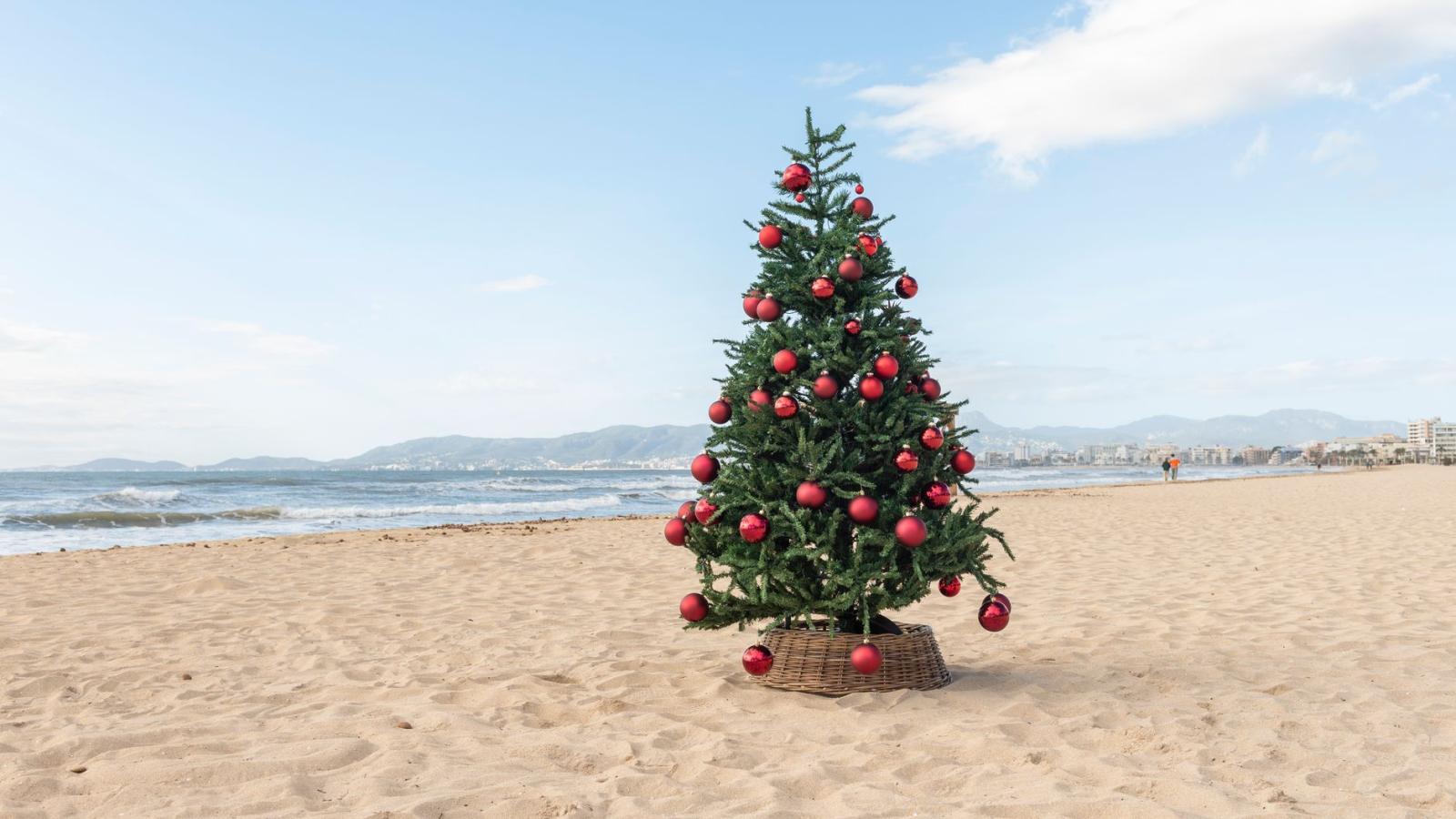 Weihnachten auf Mallorca: Traditionen, Märkte und Events